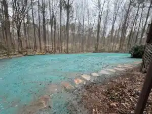 A freshly hydroseeded backyard in Raleigh, covered in blue-green slurry, features a new flagstone walkway leading through a wooded area with a wooden fence and stacked logs in the background.