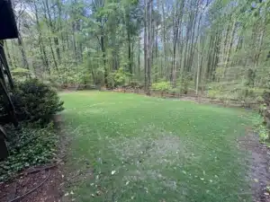 The backyard grass was sparse and the ground was uneven.