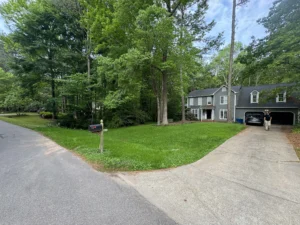 The front yard of a Raleigh home is coated in blue-green hydroseeding slurry, with a gray house, parked cars, and tall pine trees in the background, showcasing MWM Landscaping’s work