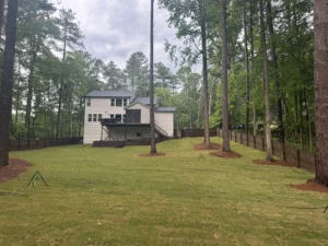 : A wide shot of a vibrant backyard with 23,000 square feet of freshly installed Zenith zoysia grass sod, surrounding a house with a deck.