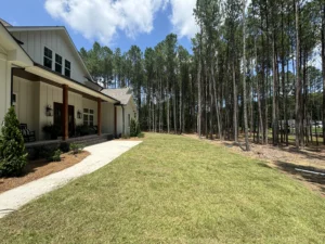 A side view of a house in Durham with fresh green sod extending toward a line of pine trees, a concrete walkway, and landscaped beds with small plants, under a bright blue sky.