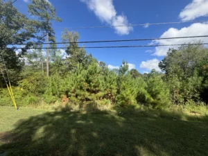 Severely neglected Durham NC property covered in thick weeds and invasive vegetation prior to professional lot clearing and forestry mulching.