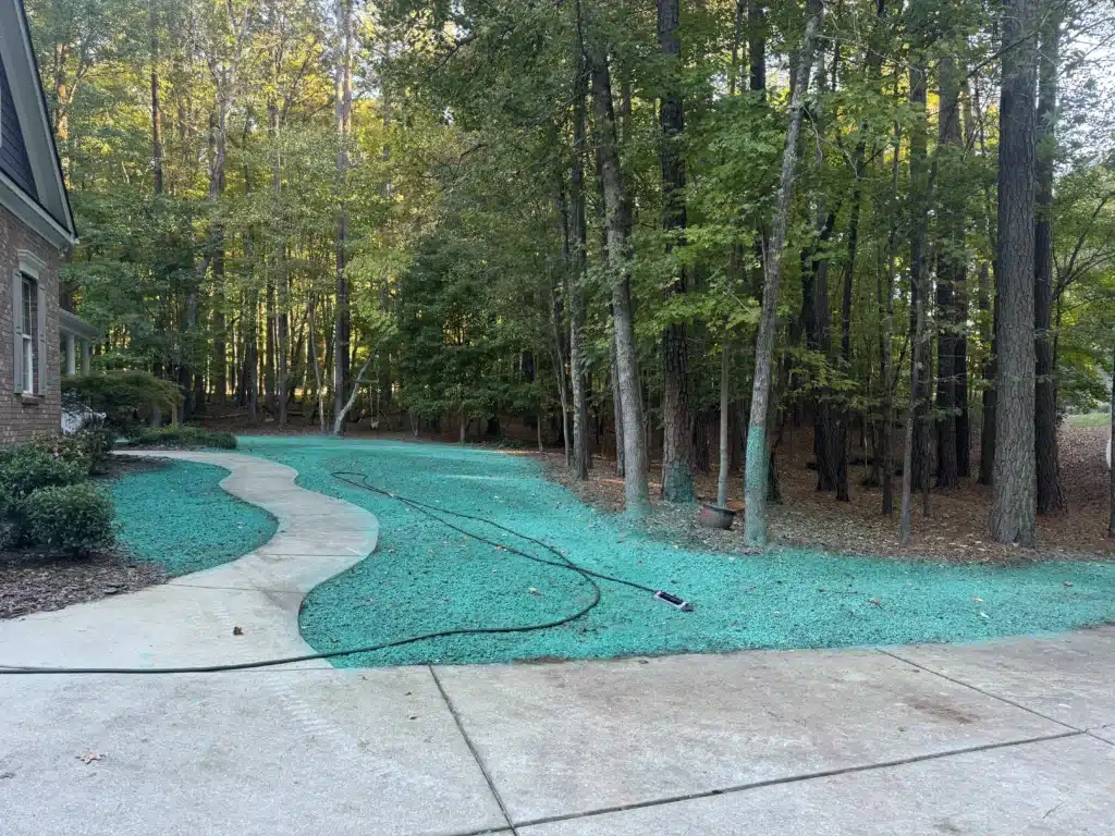 Fresh hydroseeding applied along the front yard and driveway of a Raleigh home, creating an even base for lush grass growth.