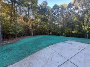 Backyard of Raleigh home fully graded and hydroseeded from patio to tree line, ready for healthy grass establishment.
