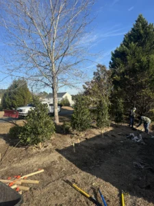 MWM Landscaping & Grading installed 60 strategically placed bushes for a Creedmoor, NC HOA community planting project. Fresh greenery enhances curb appeal, adds structure, and creates year-round interest in shared spaces.