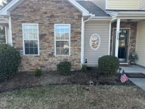 Large-scale HOA planting transformation in Creedmoor, NC: 60 bushes and Holly trees installed by MWM Landscaping & Grading with Triangle Tree Experts. Boosted aesthetics, improved privacy, and added durable, attractive landscaping for residents.