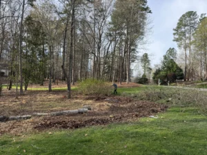 Before photo showing soggy area with poor drainage under a tree in the front yard at Treyburn Country Club in Durham, NC