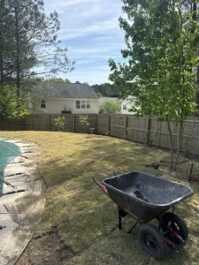 Fresh Compadre Zoysia sod installation in Durham NC backyard with clean landscaping and new lawn coverage