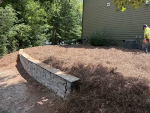 Finished residential landscape with fresh pine straw, natural stone, and established trees surrounding a drainage and erosion control project in Apex, NC