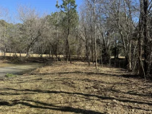 Property in Stem, NC after forestry mulching with cleared underbrush, improved visibility, and an open area surrounding the pond.