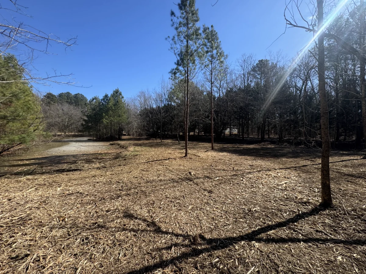Newly cleared trail along the edge of a pond in Stem, NC following professional forestry mulching, providing improved access and a cleaner landscape.
