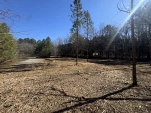 Newly cleared trail along the edge of a pond in Stem, NC following professional forestry mulching, providing improved access and a cleaner landscape.
